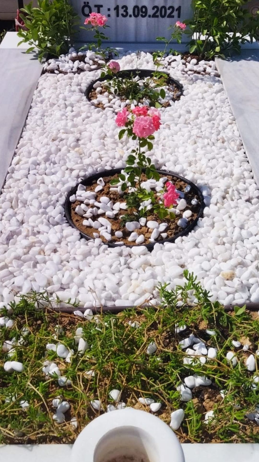 Paket 5 ( Aylık Bakım )