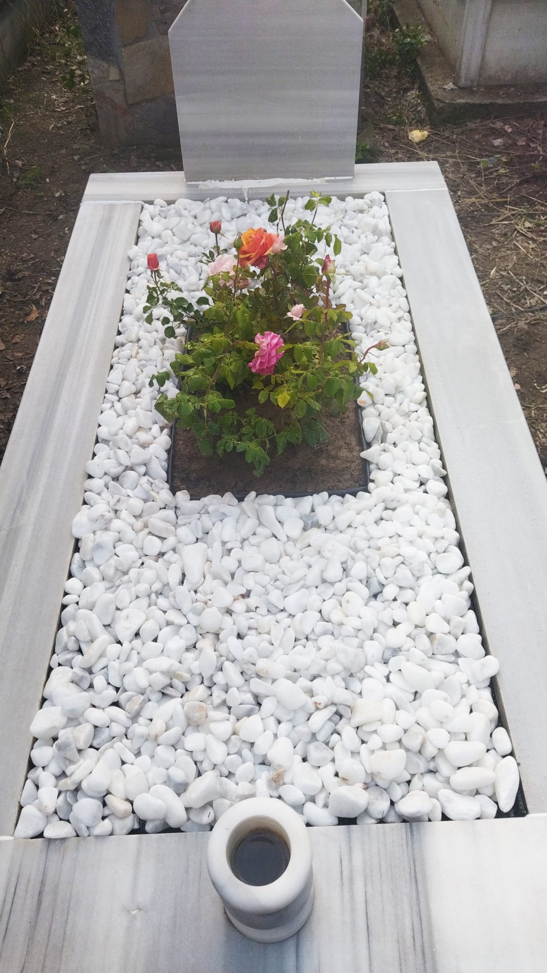 Paket 2 ( Tek Seferlik Bakım )