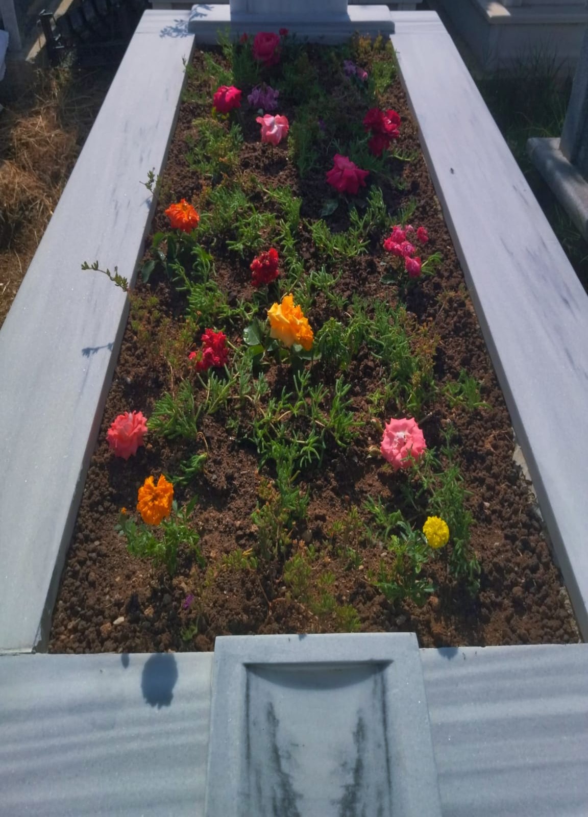 Paket 1 ( Tek Seferlik Bakım )